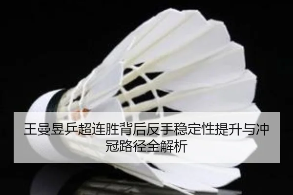 王曼昱乒超连胜背后反手稳定性提升与冲冠路径全解析